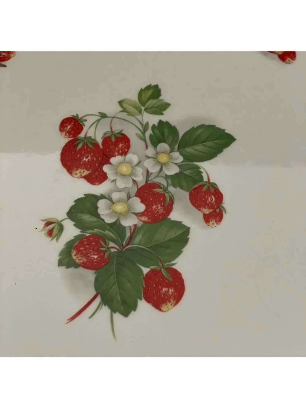 Vintage 70’s Portmeirion Summer Strawberries 12